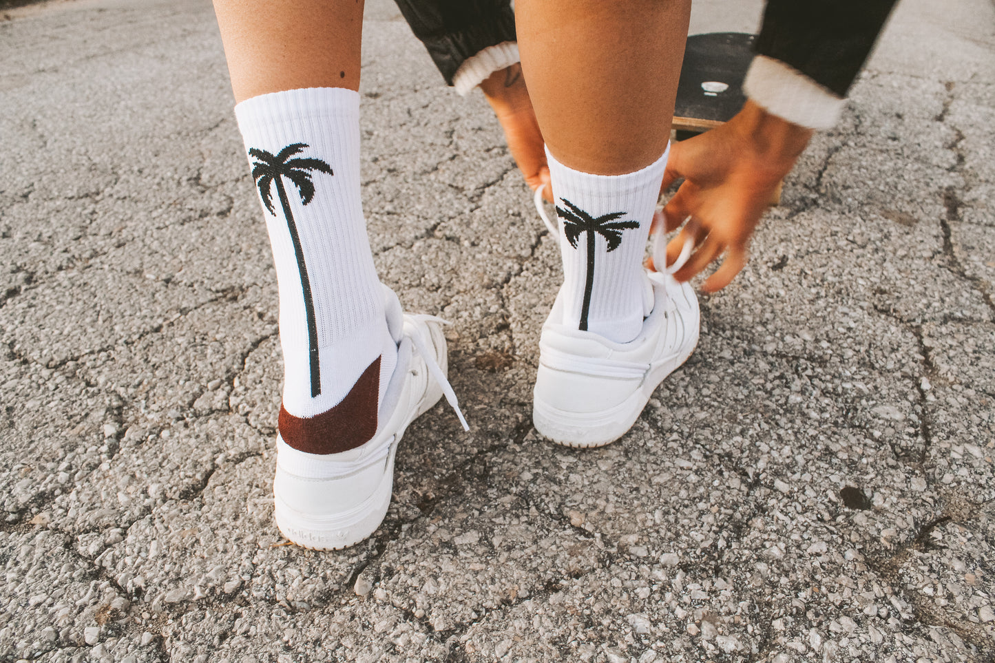 Palm socks Burgundy red