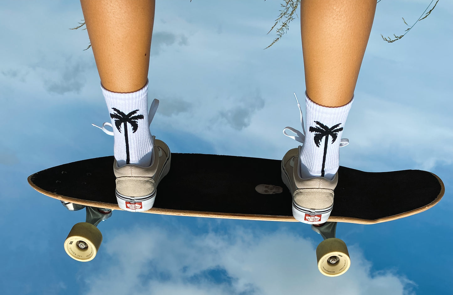 Winter edition socks bundle