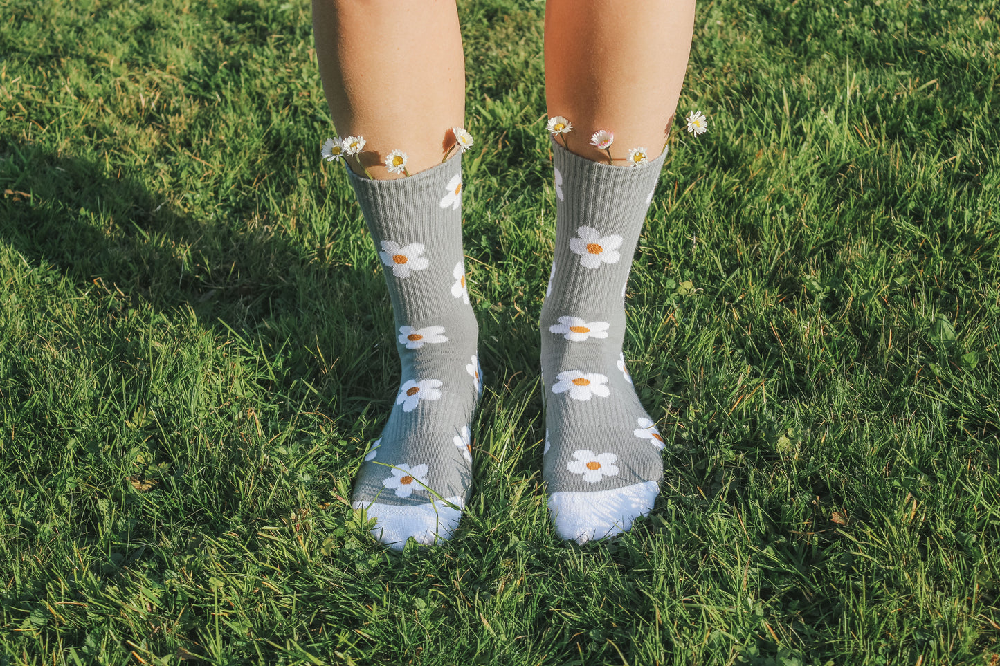 Paradise socks bundle